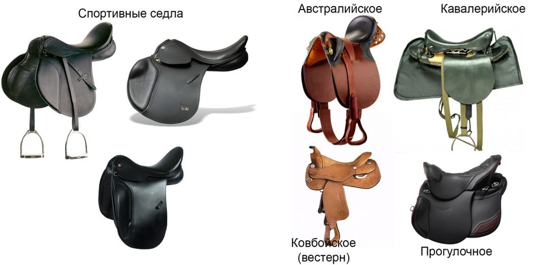 Что подарить коннику или любителю лошадей? - Кому подарок?