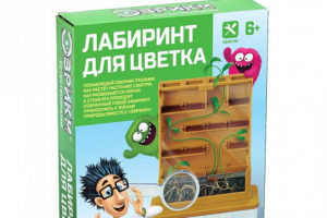 Набор для опытов - Лабиринт для цветка