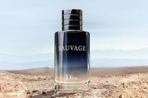 Мужской парфюм Christian Dior 